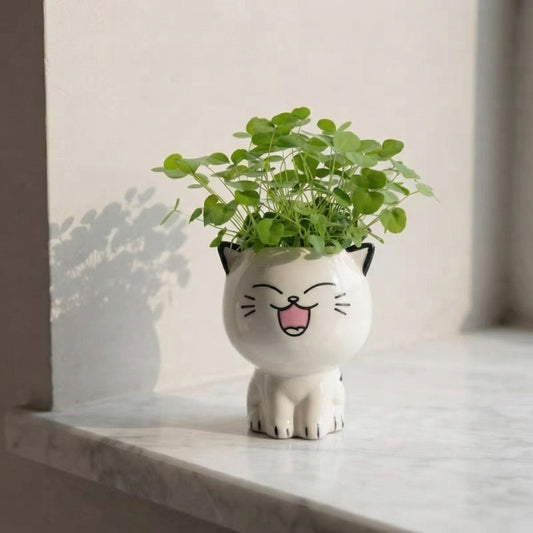 PurrPot™ | De leukste plek voor je tuinkruiden