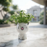 PurrPot™ | De leukste plek voor je tuinkruiden